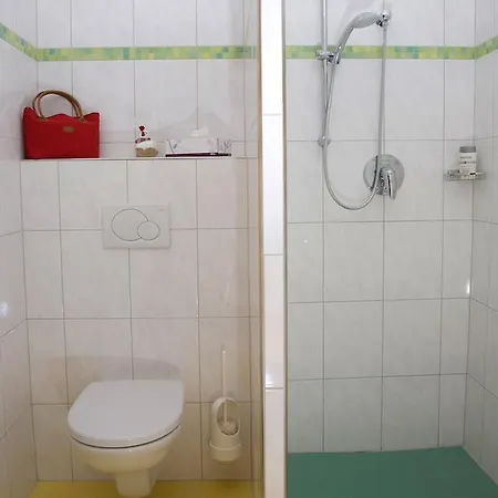Jugendhotel Bachlehen Und Johanneshof Hotel Radstadt